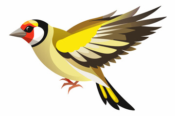 a flying songbird goldfinch isolated on white background
