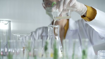 Female scientist researcher wearing a lab coat, white gloves, and mask, is pouring a yellow oily...