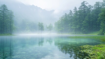 Tranquil misty lake surrounded by a lush forest.