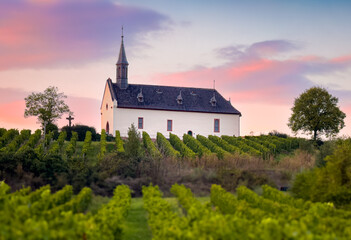 An enchanting vineyard accompanied by a picturesque church illuminated by the sunset glow