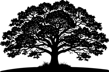 Obraz premium Sprawling Oak Tree Silhouette Against Sunset Sky