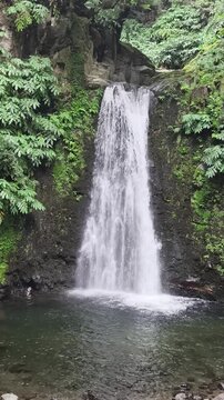 View of Salto do Prego waterfall in the heart of the S&atilde;o Miguel rainforest, Azores. The waterfall is framed by tall trees and dense plant life, creating an atmosphere of seclusion and peace. 