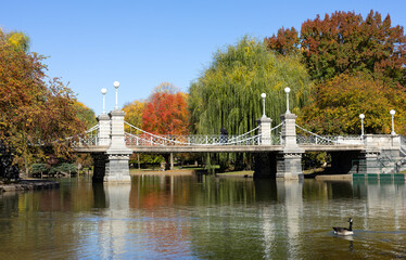 Boston Public Garden Foot Bridge in fall foliage 