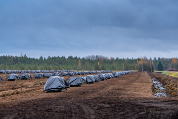 Peat bog with peat briquettes stacked in piles and covered