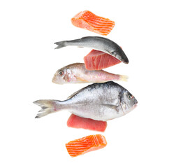 Different sea food in air on white background