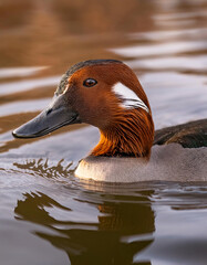 A serene sunset over a lake, reflecting vibrant colors and creating a peaceful, picturesque scene