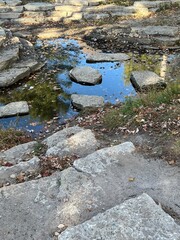 Stepping stones over water