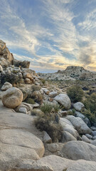 Rocky Trail in Joshua Tree, California