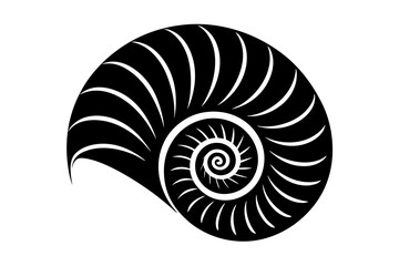  Sea spiral shell isolated on white background
