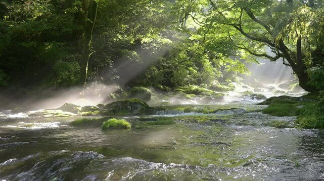 菊池渓谷・広河原の光芒