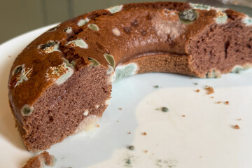 Half of a chocolate cake developed mold on the surface