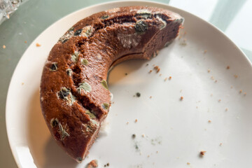 Half of a chocolate cake developed mold on the surface