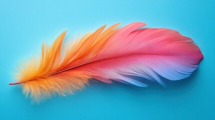 Obraz premium A single bright orange, pink and blue feather against a vibrant blue background.