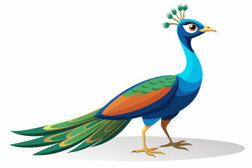 Beautiful female peacock. rendering shadow over white 