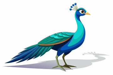 Beautiful female peacock. rendering shadow over white 