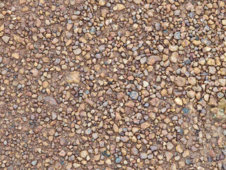 Colored stones (soil) and the background texture.