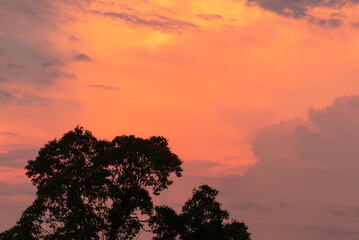 夕焼けに染まる琵琶湖　湖岸道路の風景　滋賀県草津市