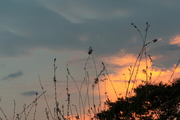 夕焼けに染まる琵琶湖　湖岸道路の風景　滋賀県草津市
