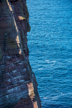 Cost&atilde;o Rochoso com aves marinhas (paisagem) | Rocky Shore with seabirds