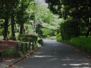 北の丸公園の散歩道