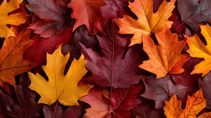 Fototapeta premium A warm, inviting background featuring many autumn leaves, a blend of deep reds, oranges, and yellows, with a clear space for a centered text area