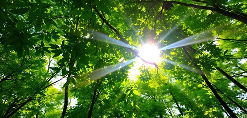 Obraz premium Lush green forest canopy with sun rays filtering through leaves created with generative AI