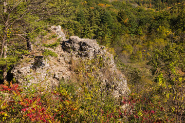 A Scenic Overlook In Autumn