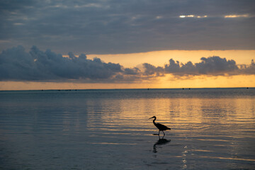 Obraz premium Boot im Abendrot