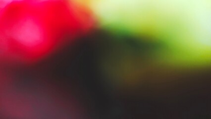 Obraz premium Blurry bokeh background, bright colors, cute, charming, sweet, romantic tone.