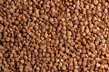 Dry Uncooked Brown Buckwheat Groats Background - Top View, Flat Lay. Raw Large Buckwheat Grains....