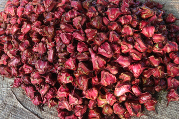 Water Chestnut Trapa natans fruit on shop