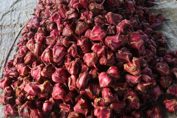 Water Chestnut Trapa natans fruit on shop