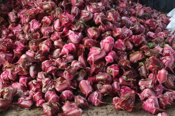 Water Chestnut Trapa natans fruit on shop