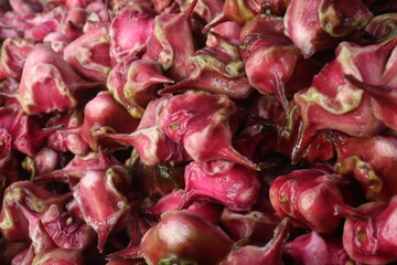Water Chestnut Trapa natans fruit on shop