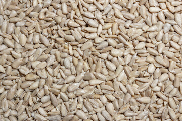 Peeled Sunflower Seeds Background: A Culinary Canvas of Shell-free Sunflower Seeds, Creating a Lively and Textured Background for Gourmet Cooking - Top View, Flat Lay