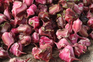 Water Chestnut Trapa natans fruit on shop
