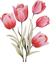 Fototapeta premium bouquet of pink tulips