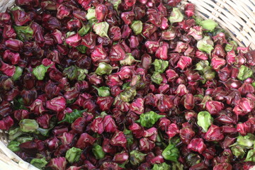 Water Chestnut Trapa natans fruit on shop