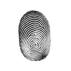 Fingerprint, white isolate background