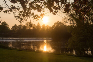 Obraz premium sunrise in the park