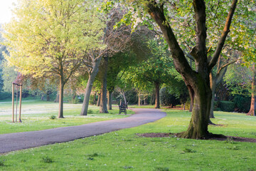 autumn in the park
