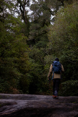Fototapeta premium Young adult man with blue backpack taking a hiking route in admiration of the mountain, pure and wild nature, jungle, natural reserve, national park