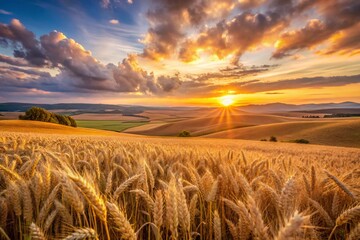 Obraz premium wheat field at sunset, generative ai, ai generated, ai