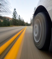 pov of a car moving through the forest