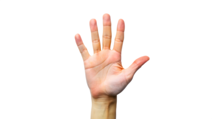 a hand isolated on white background