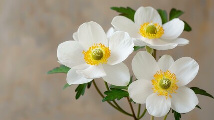 Obraz premium Erleben Sie die Detailtreue einer Erdbeerpflanze im Blumenkasten in beeindruckender Makroaufnahme.