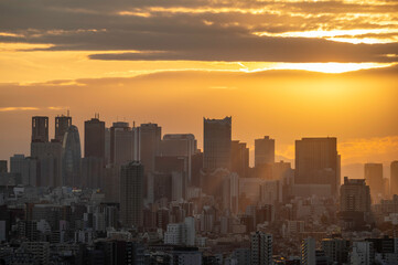 東京都文京区春日から見た夕方の東京の都市景観