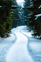Obraz premium Winding snow-covered road through a serene forest of evergreen trees.