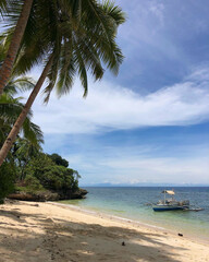 Idyllic Tropical Beach with Boat and Palm Trees