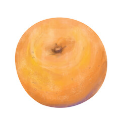 Illustration Mandarin Ripe Bright. Watercolor Digital Illustration for Packaging Design of Juice, Tea, Cosmetics, Web and Printing, Botany for Books